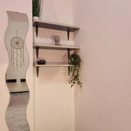 Apartman Olive *** Apartment